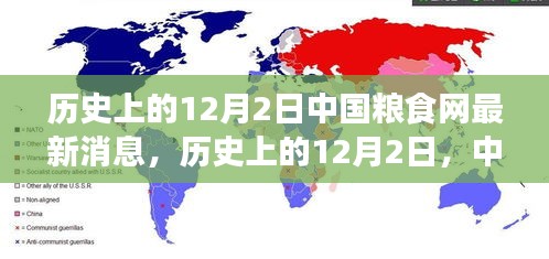 歷史上的12月2日,中國糧食網的新篇章與自信的力量種子