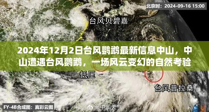 中山遭遇臺風鸚鵡，風云變幻的自然考驗最新信息