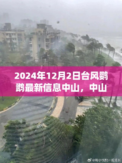 中山遭遇臺風鸚鵡,風云變幻的自然考驗最新信息