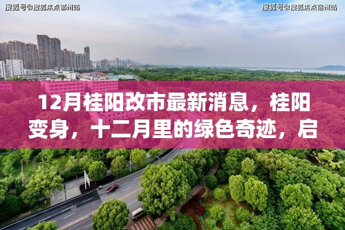 12月桂陽改市最新動態，綠色奇跡啟程，心靈之旅開啟