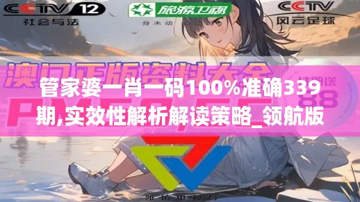 管家婆一肖一碼100%準確339期,實效性解析解讀策略_領航版41.914-1