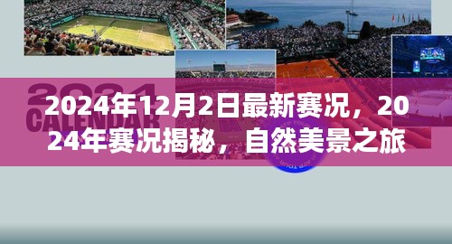 揭秘最新賽況,自然美景之旅,探尋內(nèi)心寧靜與平和的旅程(2024年賽況回顧與前瞻)