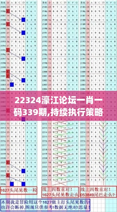 22324濠江論壇一肖一碼339期,持續執行策略_8K38.592-2