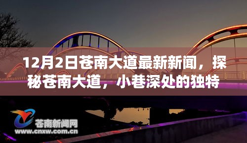 探秘蒼南大道隱藏版特色小店,小巷深處的獨特風(fēng)味,最新新聞報道