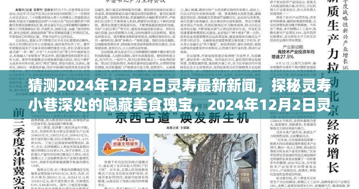 探秘靈壽小巷美食瑰寶,2024年12月2日靈壽最新新聞揭秘隱藏美食文化
