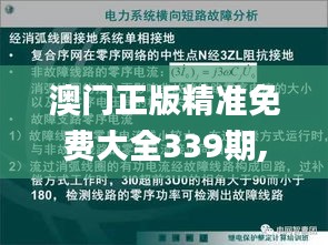 澳門正版精準免費大全339期,高效方法解析_定制版24.747-5