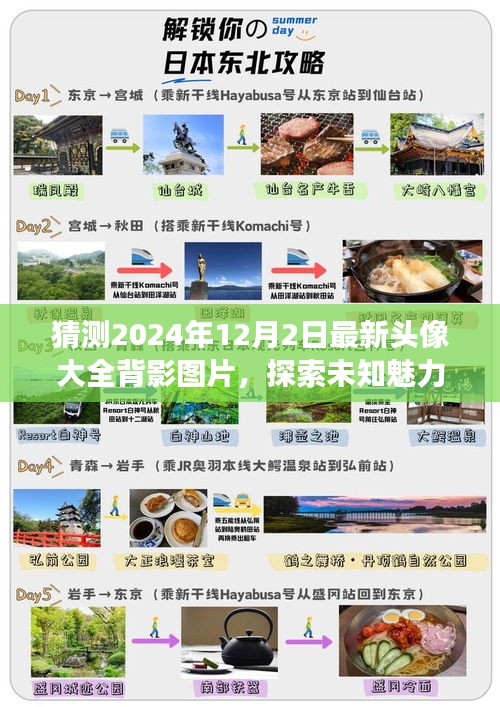 『最新精選,2024年12月2日背影頭像大全,探索未知魅力與未來時尚潮流』