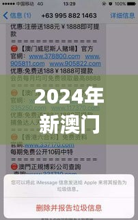 2024年新澳門天天開彩339期,系統化推進策略研討_MR34.801-7