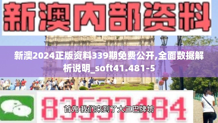 新澳2024正版資料339期免費公開,全面數據解析說明_soft41.481-5