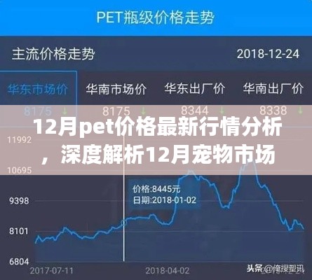 深度解析,12月寵物市場脈動與寵物價格最新行情背景重塑
