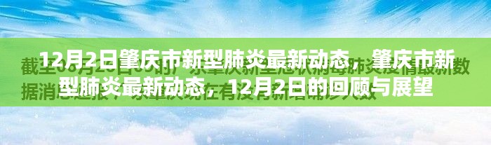 肇慶市新型肺炎最新動態,12月2日回顧與展望