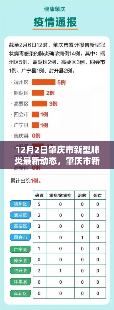 肇慶市新型肺炎最新動態,12月2日回顧與展望