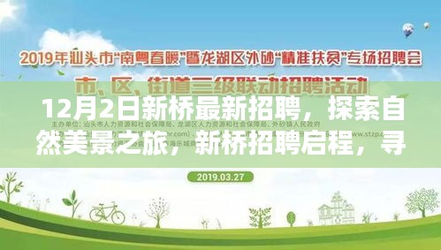 新橋招聘啟程,探索自然美景之旅,尋找內心的寧靜與平和