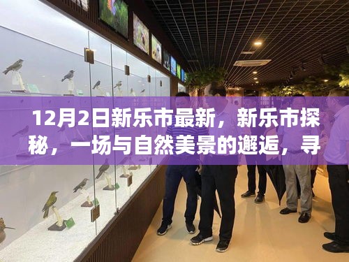 新樂市探秘,與自然美景的邂逅,尋找寧靜之旅的啟程