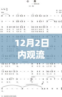 溫馨日常故事與內觀流心曲,最新歌曲發布
