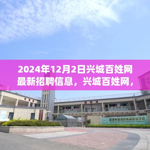 興城百姓網最新招聘信息,工作之喜與友情之暖,溫馨故事等你來探(2024年)