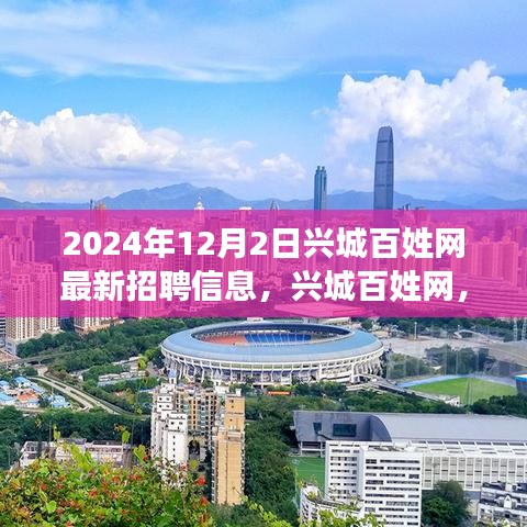 興城百姓網最新招聘信息,工作之喜與友情之暖,溫馨故事等你來探(2024年)