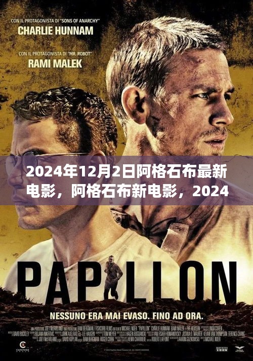 阿格石布新電影,2024年視聽盛宴與觀點爭議深度探討