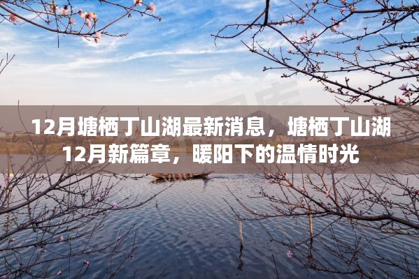 塘棲丁山湖12月最新動態(tài),暖陽下的溫情時光