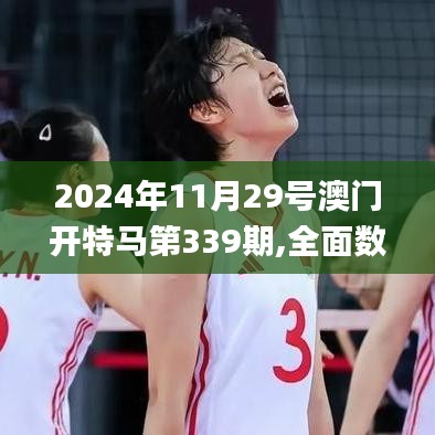 2024年11月29號(hào)澳門開特馬第339期,全面數(shù)據(jù)分析實(shí)施_限量版48.442-9