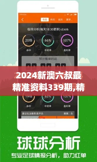 2024新澳六叔最精準資料339期,精細化說明解析_復古款47.824-9