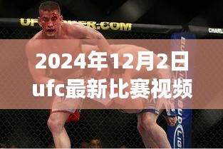 揭秘小巷深處的格斗盛宴,UFC最新比賽視頻與美食天堂的雙重體驗(2024年12月2日)
