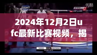 揭秘小巷深處的格斗盛宴,UFC最新比賽視頻與美食天堂的雙重體驗(2024年12月2日)