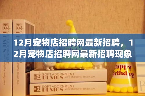 12月寵物店招聘網(wǎng)最新招聘現(xiàn)象解析,利弊探討與個(gè)人觀點(diǎn)