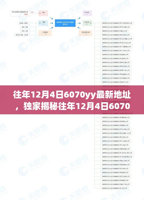 獨家揭秘,往年12月4日6070yy最新地址大放送,精彩內容不容錯過!
