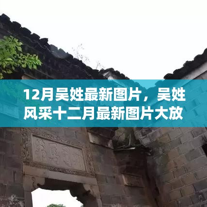 十二月吳姓風采展示,最新圖片大放送,絕美瞬間一網打盡