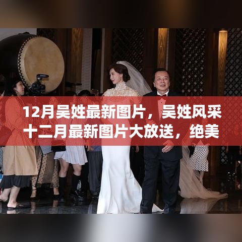十二月吳姓風采展示,最新圖片大放送,絕美瞬間一網打盡