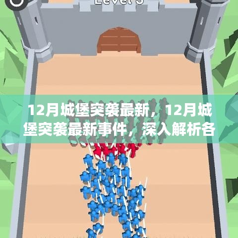 深入解析,12月城堡突襲最新事件與各方觀點與個人立場探討