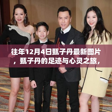 甄子丹足跡與藝術之旅,探尋自然美景與內心平靜的藝術之旅(最新圖片)