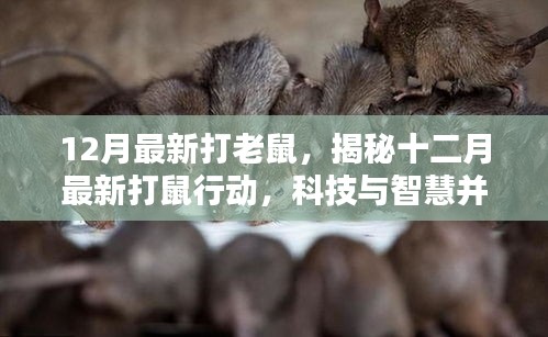揭秘十二月最新科技智慧打鼠行動,科技與智慧并行的滅鼠革命