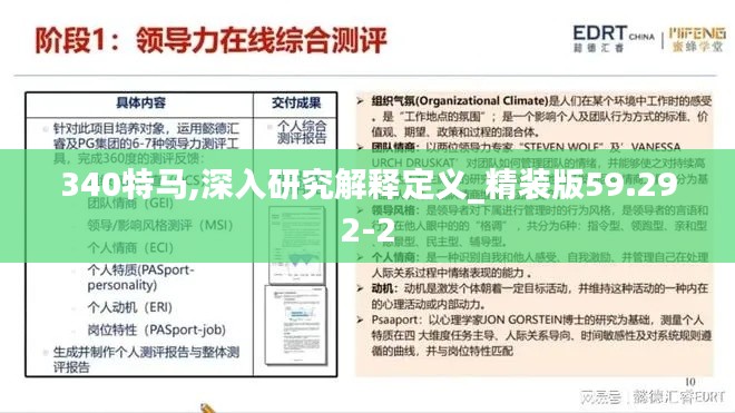 340特馬,深入研究解釋定義_精裝版59.292-2