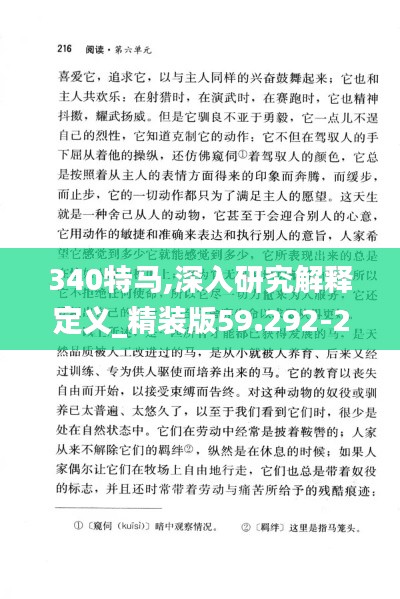 340特馬,深入研究解釋定義_精裝版59.292-2
