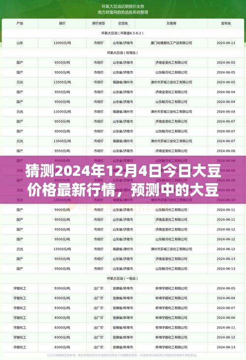 2024年12月4日大豆價格最新行情預測及市場解析,展望大豆市場趨勢