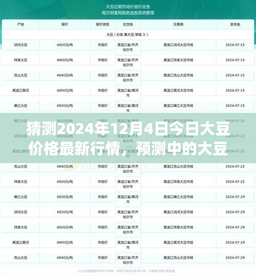 2024年12月4日大豆價格最新行情預測及市場解析,展望大豆市場趨勢