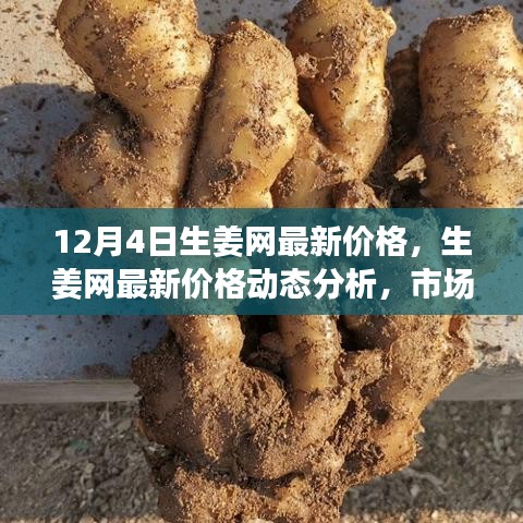 12月4日生姜網(wǎng)價格更新，市場動態(tài)分析與觀點碰撞