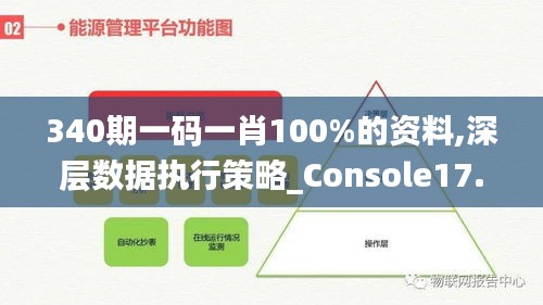 340期一碼一肖100%的資料,深層數(shù)據(jù)執(zhí)行策略_Console17.528-8