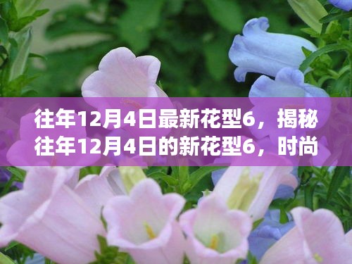 揭秘往年12月4日新花型6，時尚變遷與流行趨勢深度解讀