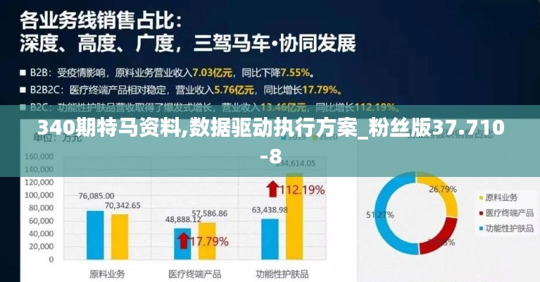 340期特馬資料,數據驅動執行方案_粉絲版37.710-8