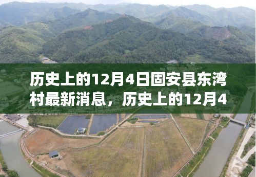 輕徙鳥舉 第4頁