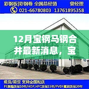 寶鋼馬鋼合并最新進(jìn)展,攜手共進(jìn),冬日傳遞溫情與陪伴
