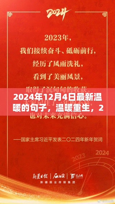 溫暖重生，2024年12月4日的語言之光與情感暖流