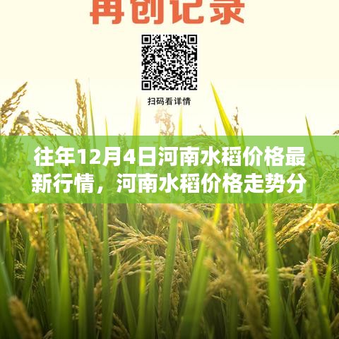 往年12月4日河南水稻市場行情及價格走勢深度分析