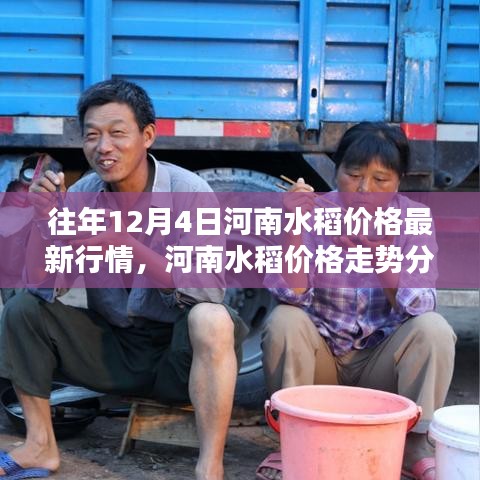 往年12月4日河南水稻市場行情及價格走勢深度分析