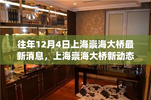 上海崇海大橋新動態(tài),與自然美景的邂逅之旅揭秘最新消息