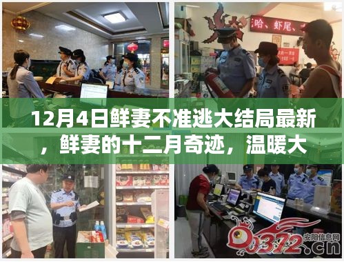 鮮妻十二月奇跡,大結局最新揭秘與歡樂日常回顧