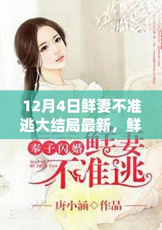 鮮妻十二月奇跡,大結局最新揭秘與歡樂日常回顧